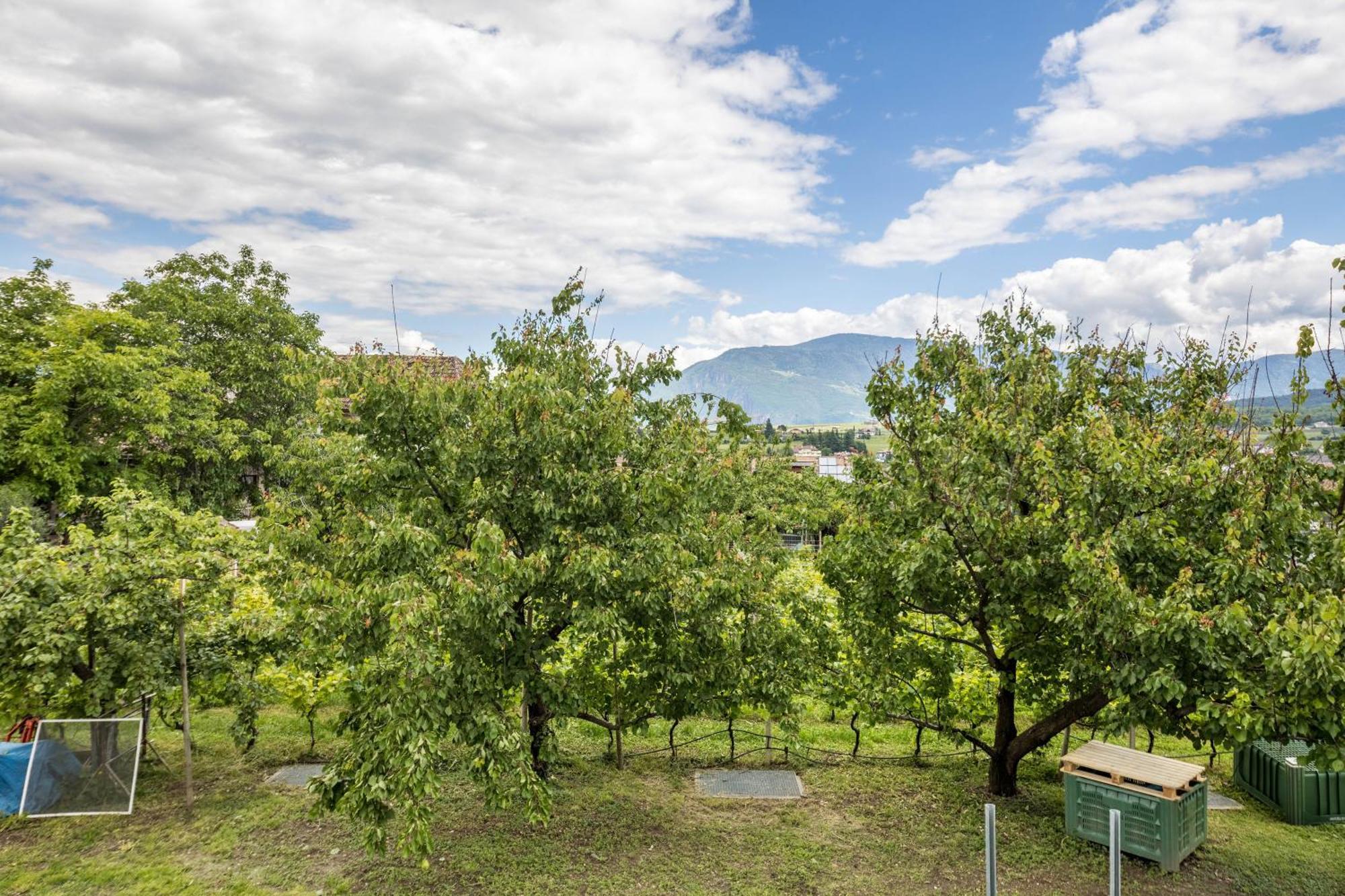 Angerblick Apartment Апп'яно-сулла-Страда-дель-Віно Екстер'єр фото